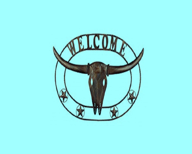 Western-Welcome-Longhorn