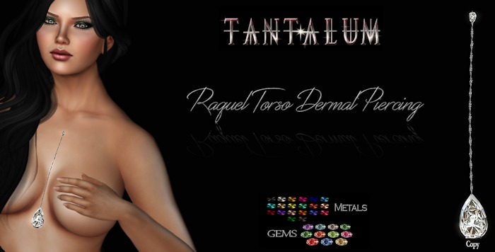 ~Tantalum~ Raquel Torso Dermal Chain Piercing*.