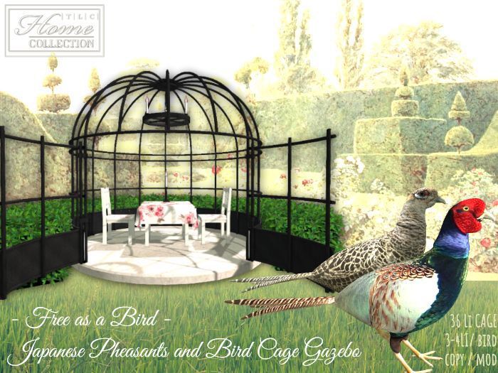 Pheasant, birdcage, gazebo