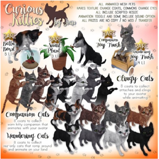 JIAN Curious Kitties :: Snail Plant BOX RARE