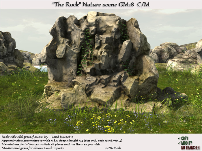 The Rock wild grass Nature scene GM18 C/M