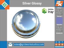 Silver Glossy