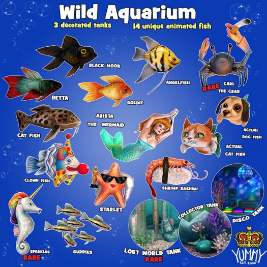 (Yummy) Actual Dog Fish - Boxed