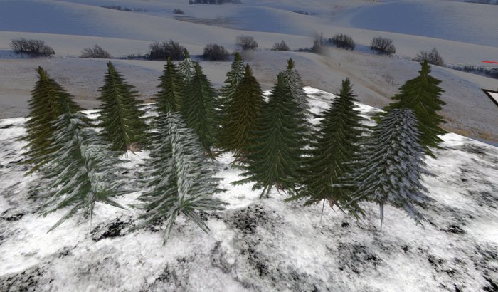 Snowy Evergreen Trees (24) Box