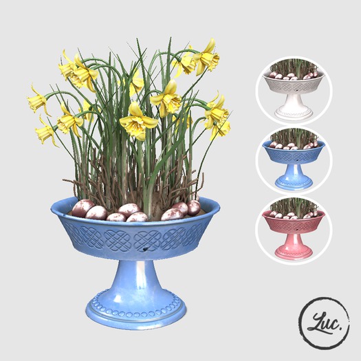 (luc) Potted Daffodils with Eggs 