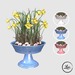 (luc) Potted Daffodils with Eggs 