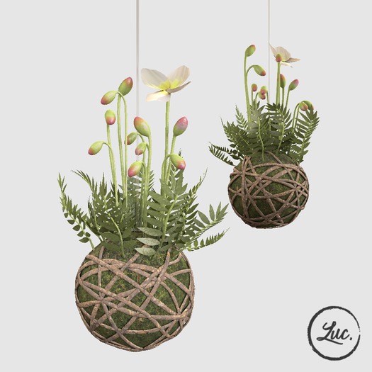 (Luc.) Kokedama, Hanging Sprigs with Flower [add]