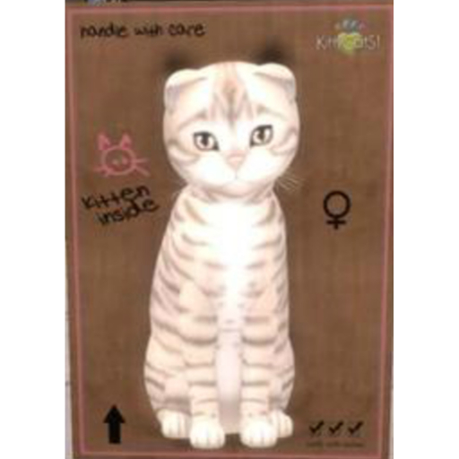 KittyCatS Box - New Born Kitten