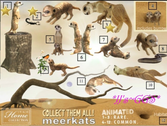 *TLC Meerkat gacha_10_Common