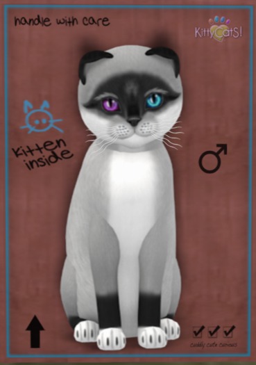 KittyCatS Box - 9T Foxie - Salt & Pepper Mask M TA