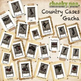 :CP: Country Case - China RARE