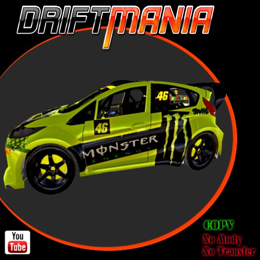 V.R Ford Fiesta (46)