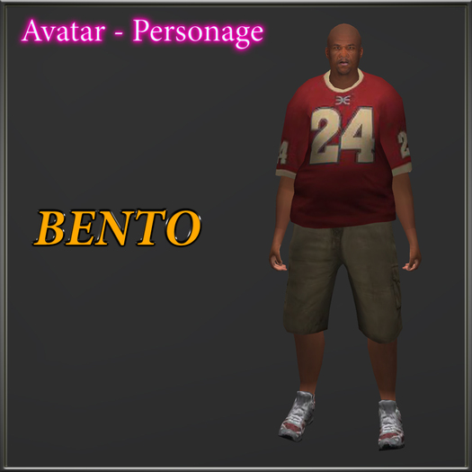 Avatar - Personage Dantre v4 _ Bento