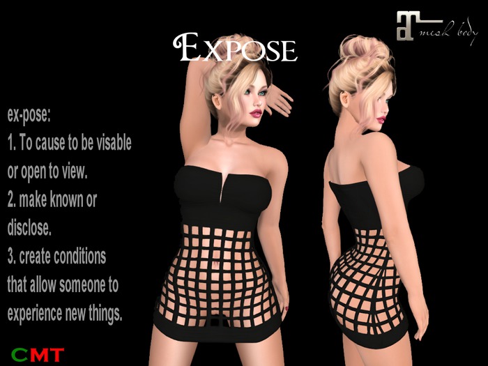 Expose Dress - Black