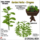 Full Perm Garden Herbs - Oregano