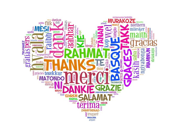 Thank You Greeting Card