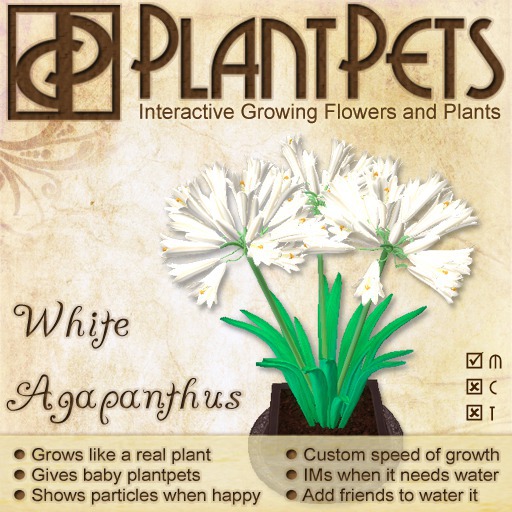 PlantPet Seed [Agapanthus *White*] Rare - Updated 1/21