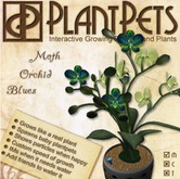 PlantPet Seed [Moth Orchid *Blues*]