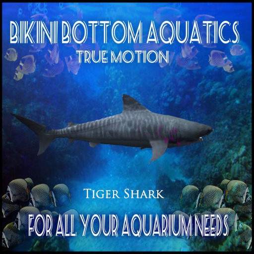 TM Tiger Shark 