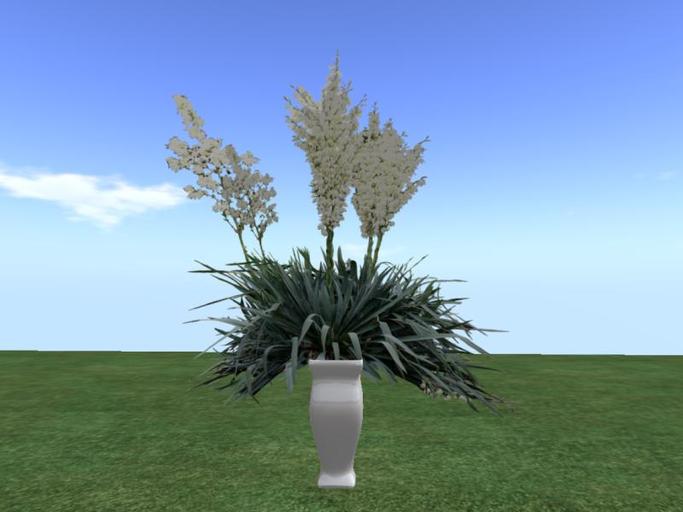 Arkad's 8 colors Potted Banana Yucca flexi plant