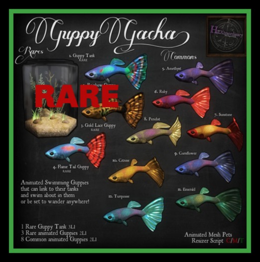 3. *HEXtraordinary* Guppy - Gold Lace - RARE