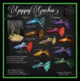 12. *HEXtraordinary* Guppy - Turquoise