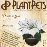 PlantPet Seed [Poinsettia *Ice Princess*]