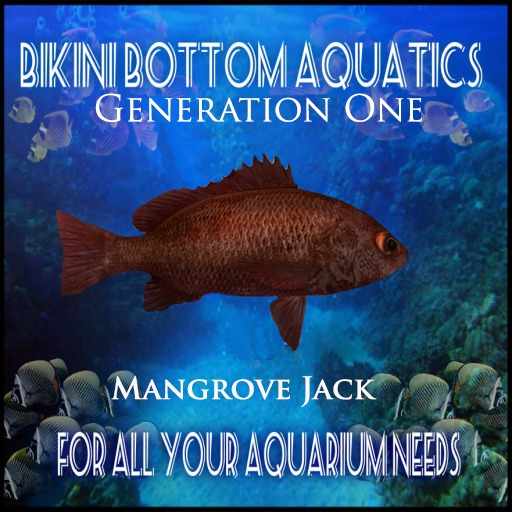 Mangrove Jack 
