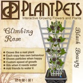 PlantPet Seed [Climbing Rose *Black Beauty*]