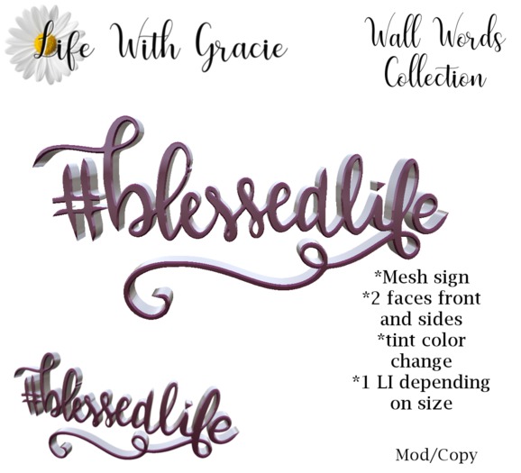 #blessedlife Wall Words Sign