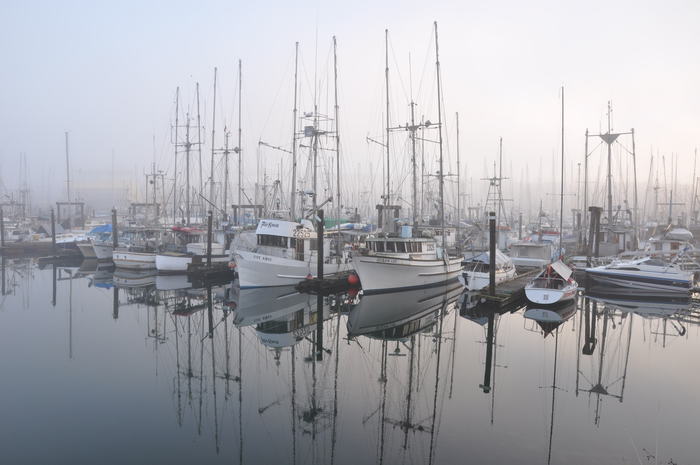 Marina/Harbor Sounds