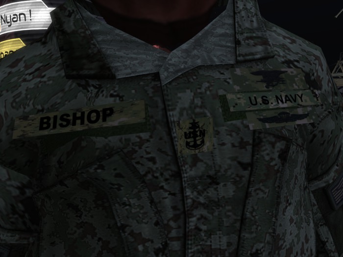 Type III NWU Chest rank SCPO