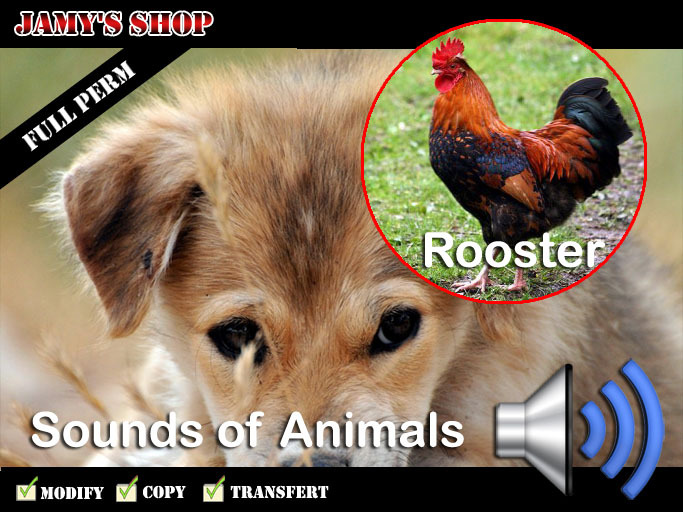 Sound - Rooster (full perm)