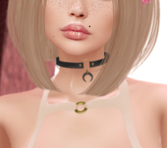 Makeup Studio Lip Red / Pink Catwa