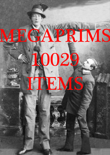 MEGAPRIMS 10029 ITEMS 