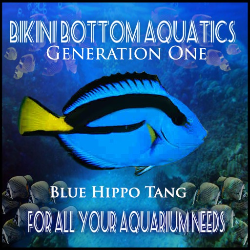 Blue HippoTang