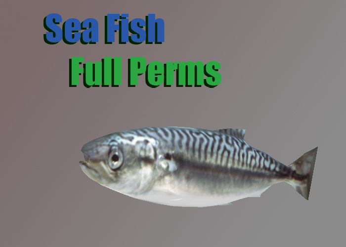 Sea Fish, sculpt Full perms