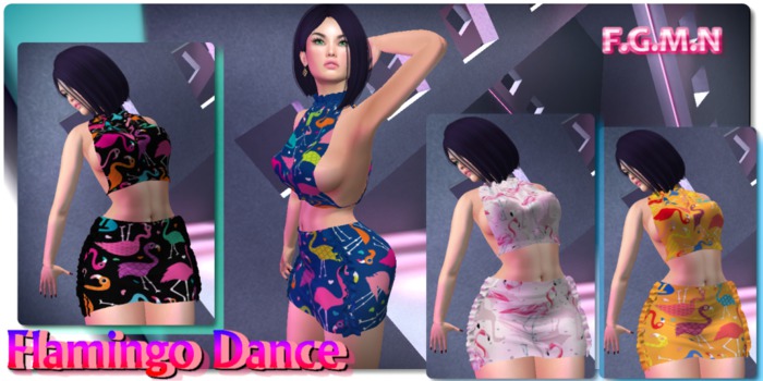 F.G.M.N/Flamingo Dance Skirt & Top