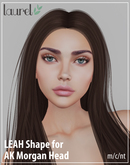 Leah Shape for AK Morgan Head