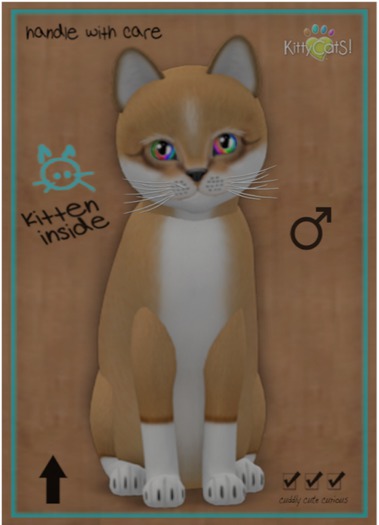 KittyCatS Box - Foxie - Blondie