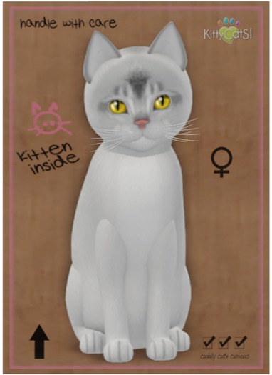 KittyCatS Box - Abyssinian - Black Silver