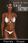 Demo Florida Shape by Earth & Sky Skin Factory 