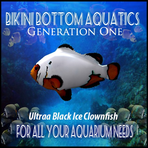 UltraBlackIce Clownfish SB