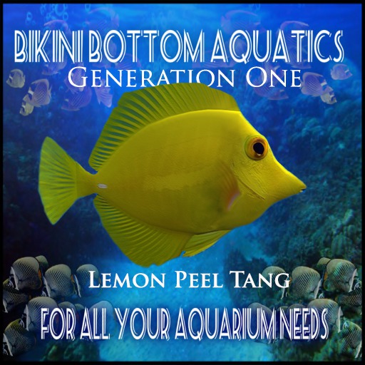 Lemon Peel Tang SB