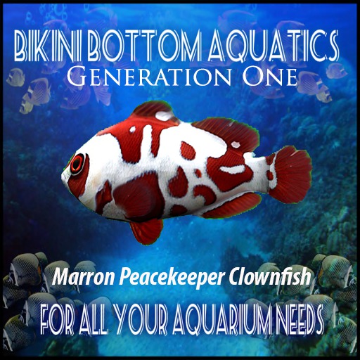 Maroon PeaceKeeper Clownfish SB