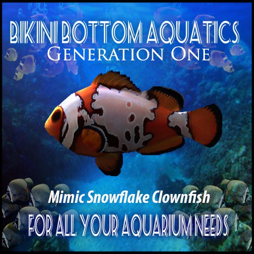 Mimic Snowflake  Clownfish SB