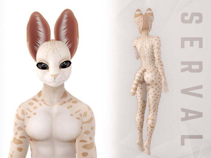 FEOH// Omega Serval: Desert