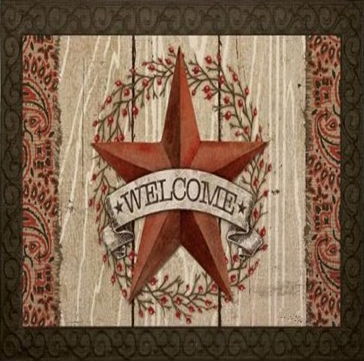 Welcome  door mat 22