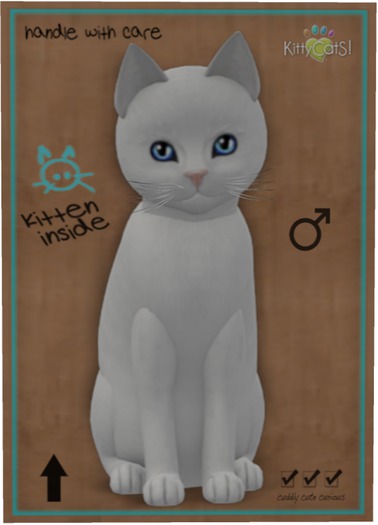 KittyCatS Box - Russian - White