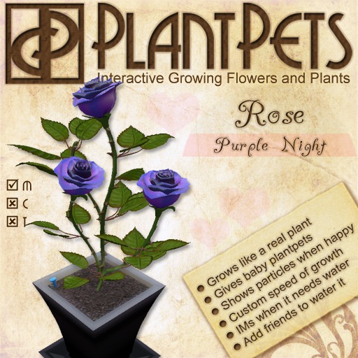 PlantPet Seed [Rose *Purple Night*] - RARE